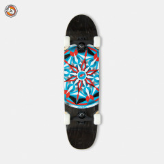 Круизер Footwork Compass 7.87